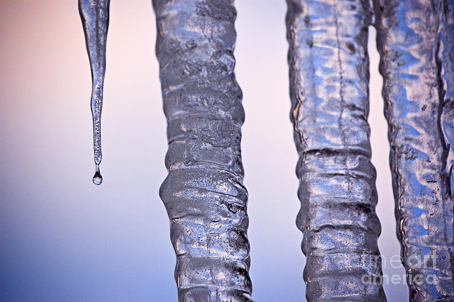 Icicles Photograph by Tom Brickhouse