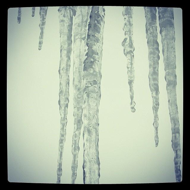 Winter Photograph - Icicles #westernpa #winter #nature by Tom Bush