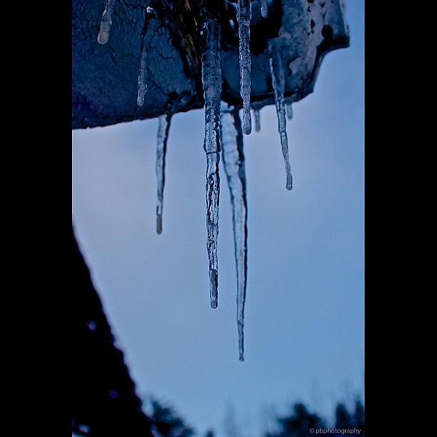 Winter Photograph - Icicles #winter #ice #cold #nikon #lens by Pb Photography