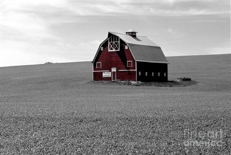 Icon of the Palouse Photograph by Sharon Elliott