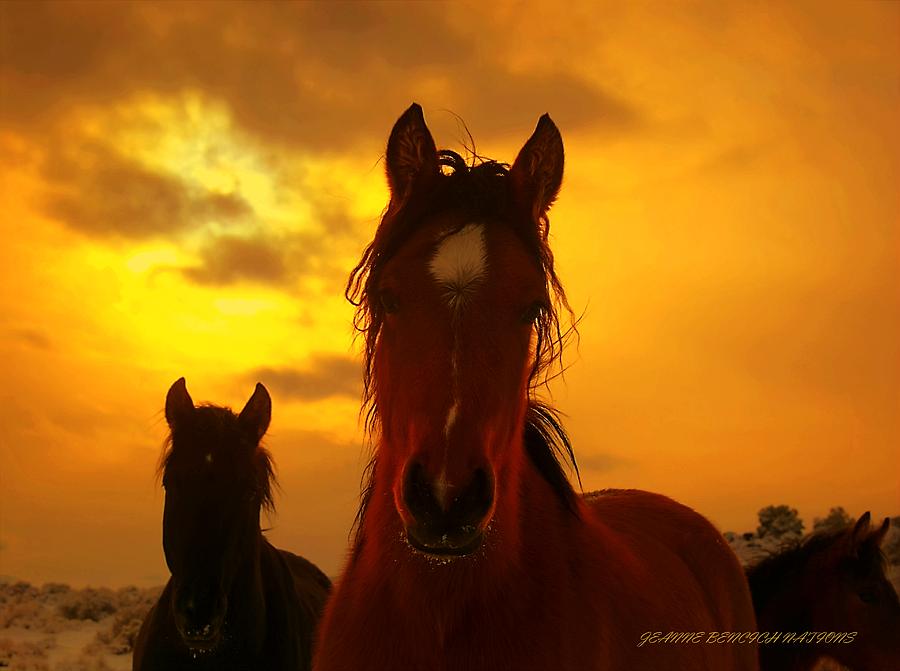 Sunset Photograph - Icon Of The West  by Jeanne  Bencich-Nations