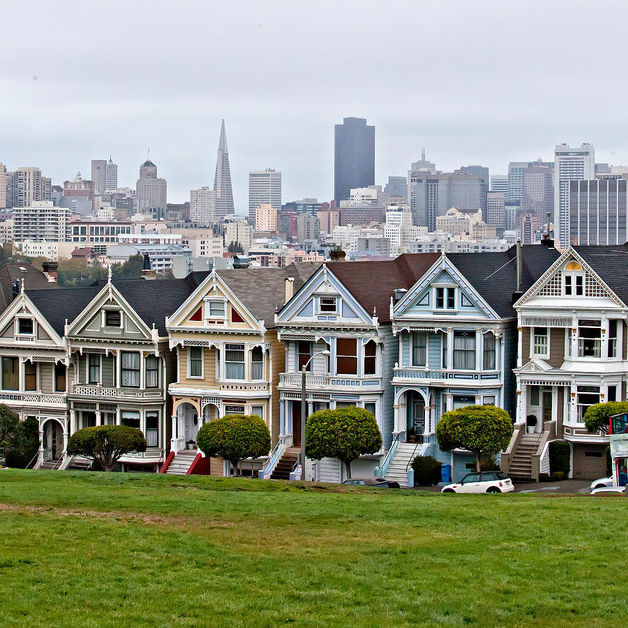 Iconic Painted Ladies Photograph by Art Block Collections