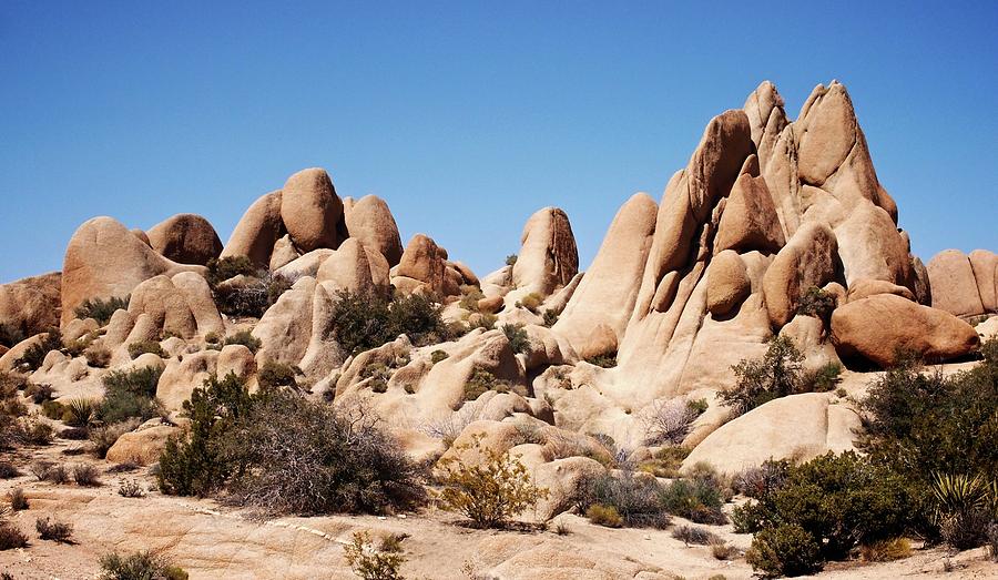 Iconic Rocks Of Joshua Tree National By Photograph By Michael Schwab