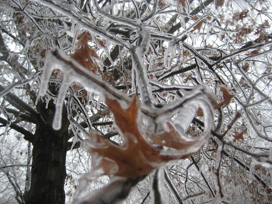 Icy Beckoning Photograph by Melissa McCrann