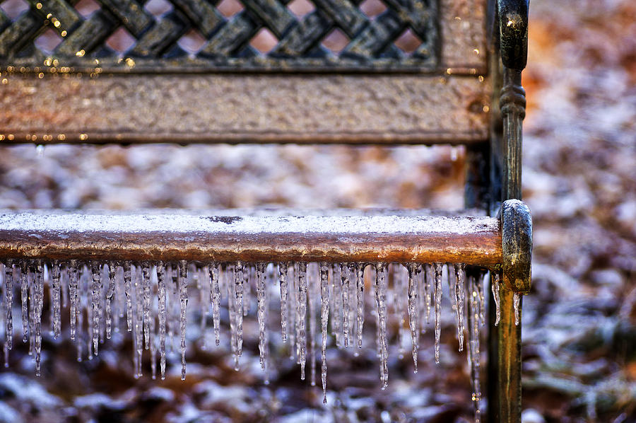 Icy Bench Photograph by Wayne Meyer
