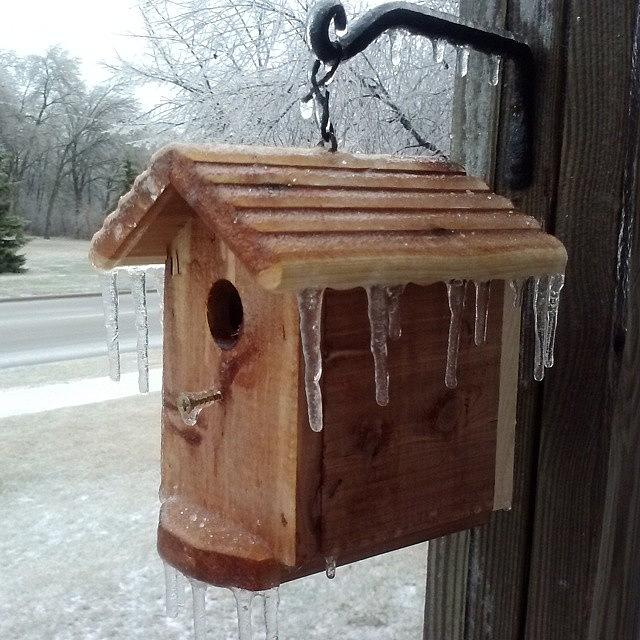 Winter Photograph - Icy Bird House by Jesse Peterson