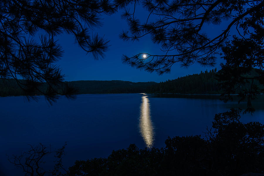 Icy Blue Moon Photograph by Mike Ronnebeck