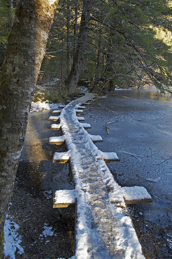 Icy Boardwalk Photograph by Cathy Mahnke