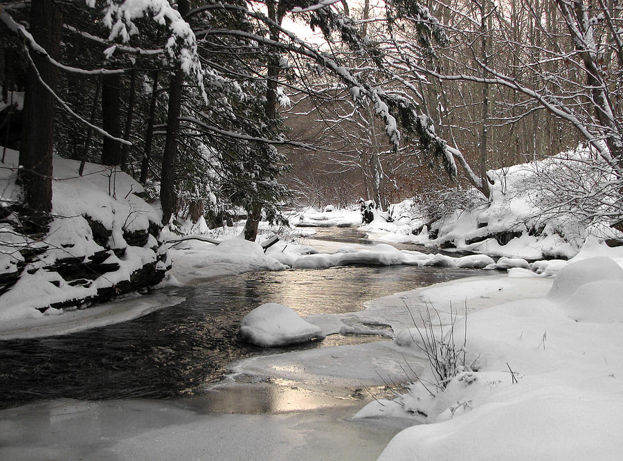 Icy Brook Photograph by Gary Blackman