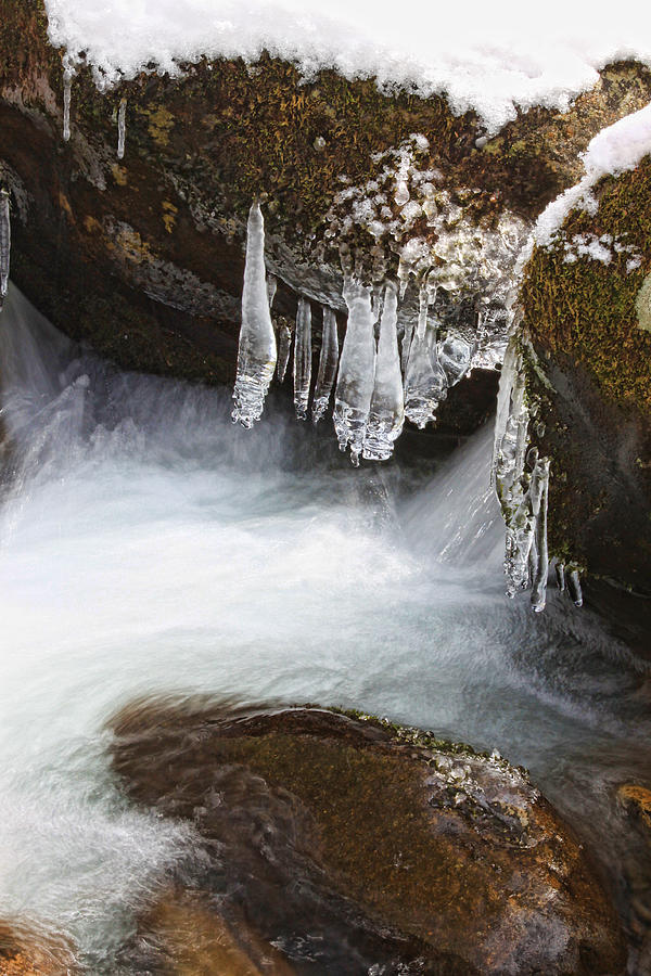 Icy Detail Photograph by Shari Jardina