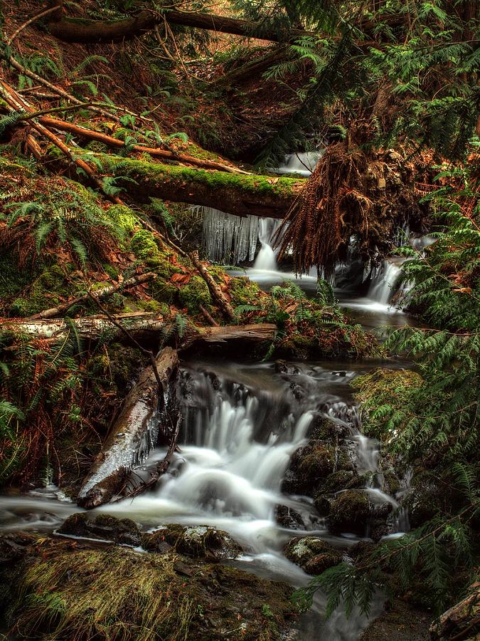 Icy Falls Photograph by Randy Hall | Fine Art America