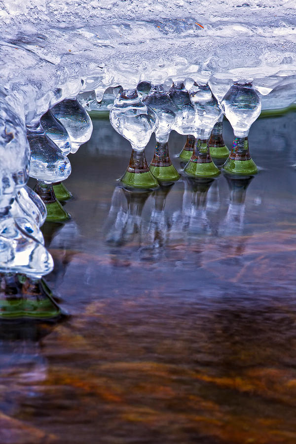 Icy Jewels Photograph by Jeff Sinon