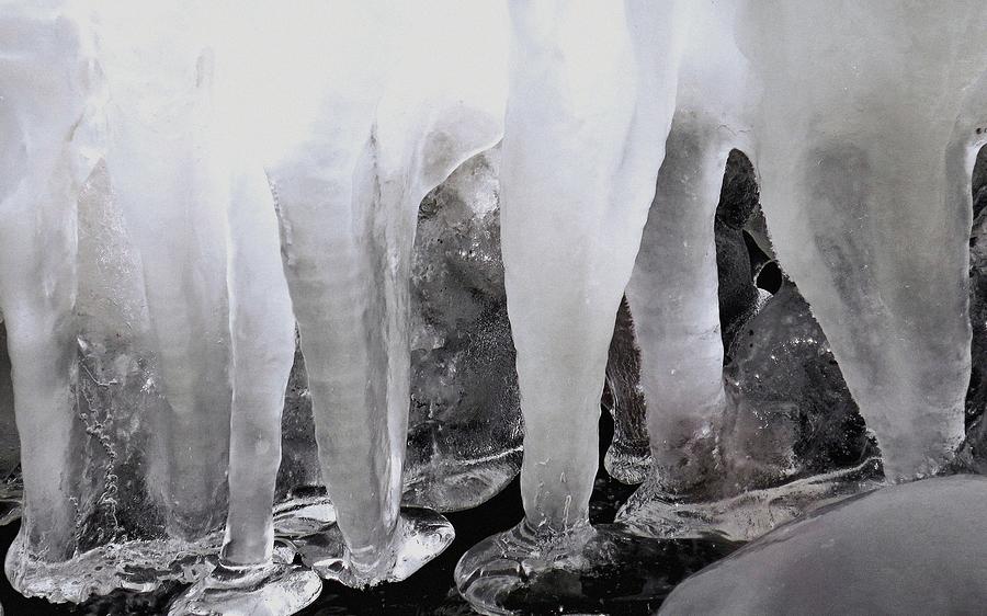 Icy Molars Photograph by Janice Drew