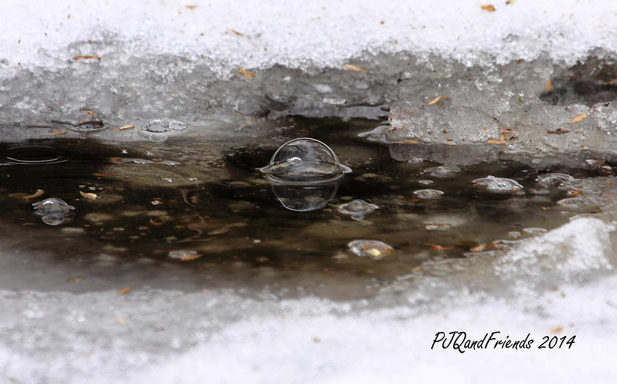 Icy Pond Bubbles Photograph by PJQandFriends Photography