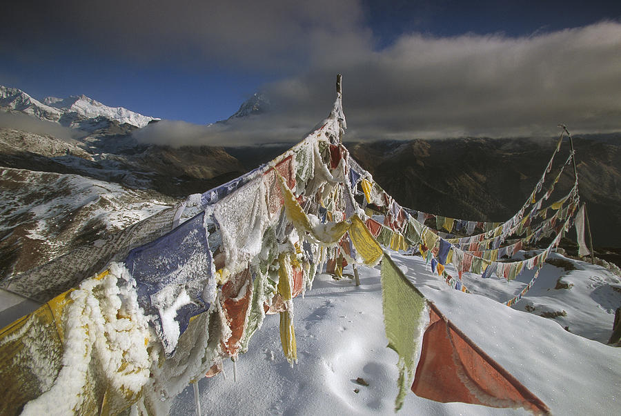 Icy Prayer Flags Himalaya India Photograph by Colin Monteath