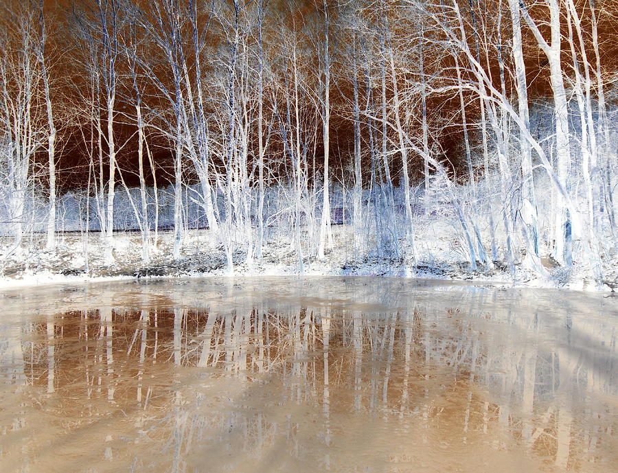 Winter Photograph - Icy Reflections by Angel One