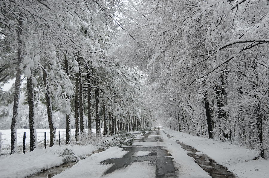 Icy Road Photograph by Leesa Toliver - Fine Art America