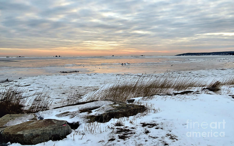 Icy Seascape Photograph by Janice Drew