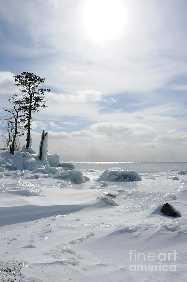 Icy Solitude Photograph by Sandra Updyke