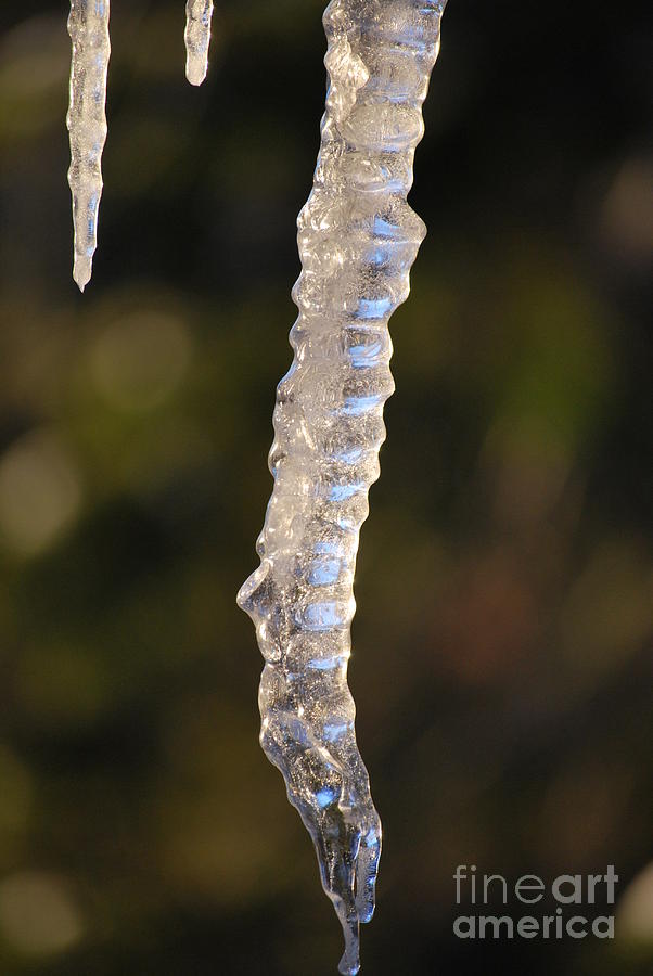 Ice Photograph - Icy Spine by Kenna Hillman