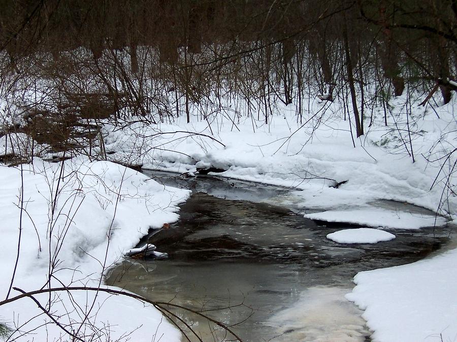 Icy Stream Photograph by Catherine Gagne
