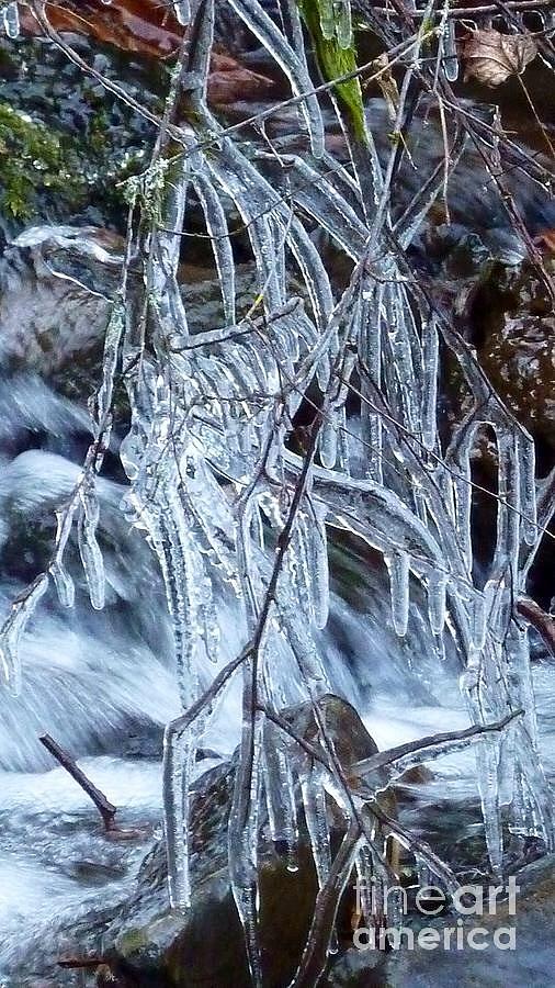 Icy Stream  Photograph by Susan Garren