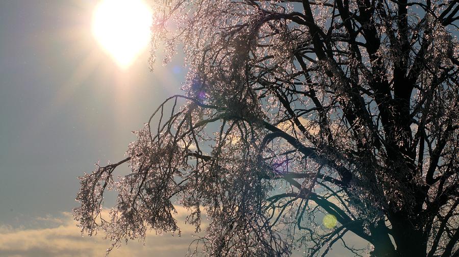 Icy sunburst Photograph by Douglas Pike