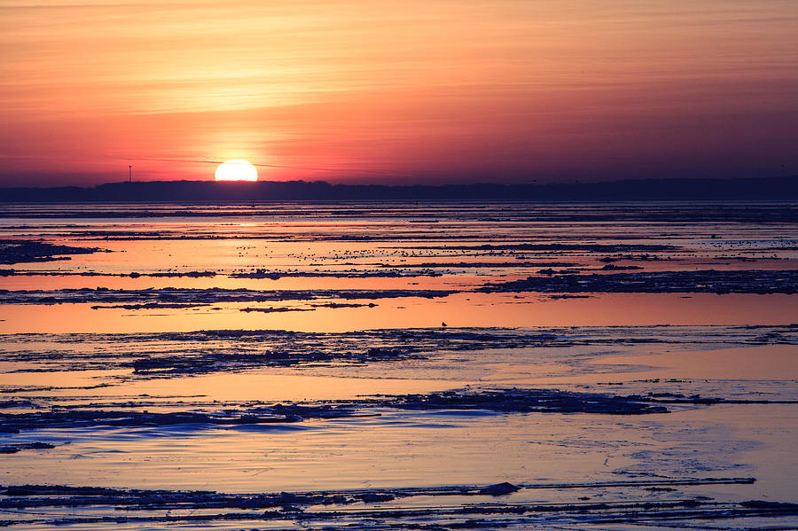 Icy Sunrise Photograph by Jennifer Casey