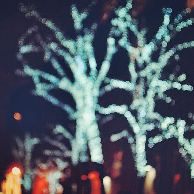 Bokeh Photograph - Icy Trees, Lined In #bokeh by Jessica McDade