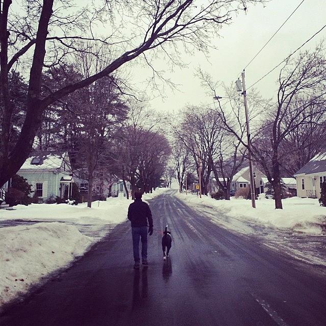 Icy Walk! Photograph by Justine Johnson