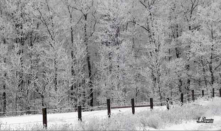 Winter Photograph - Icy Winter Scene by Joe Granita