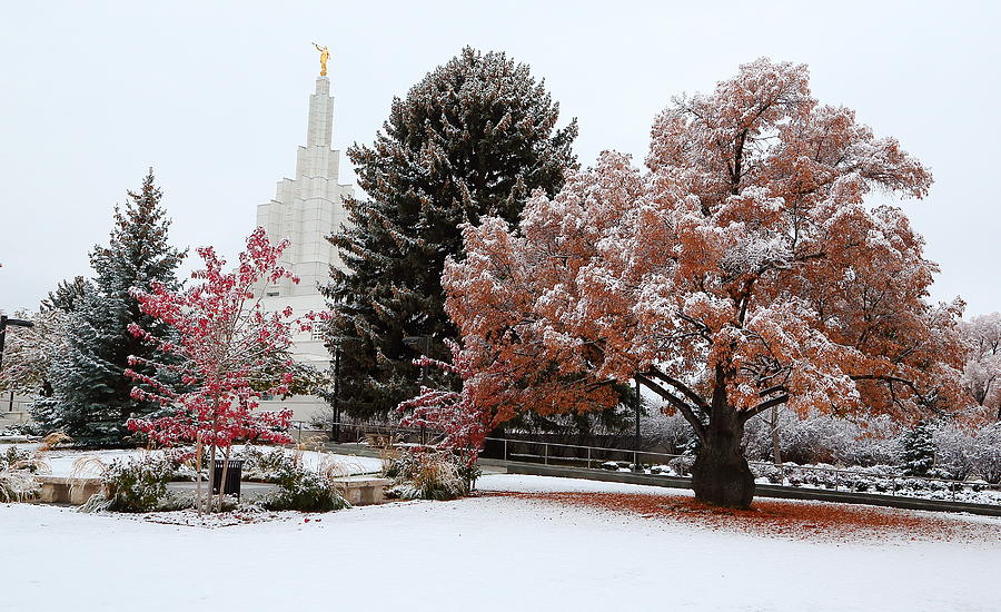 Idaho Falls Temple Winter Photograph by David Andersen