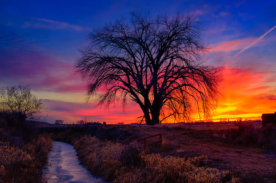 Idaho Winter Sunset Photograph by Greg Norrell