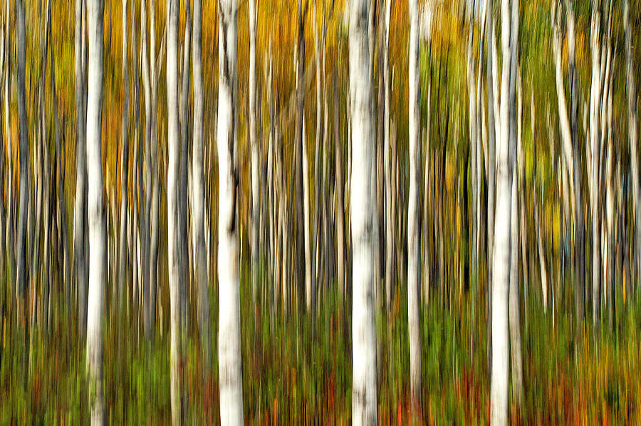 Abstract Impressionism Photograph - Identity Theft by Bill Morgenstern