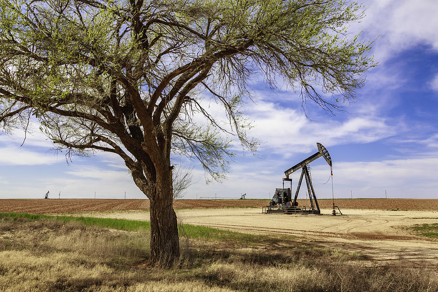 idle oil well pumpjack framed by tree, farmland, West Texas Photograph by Dszc