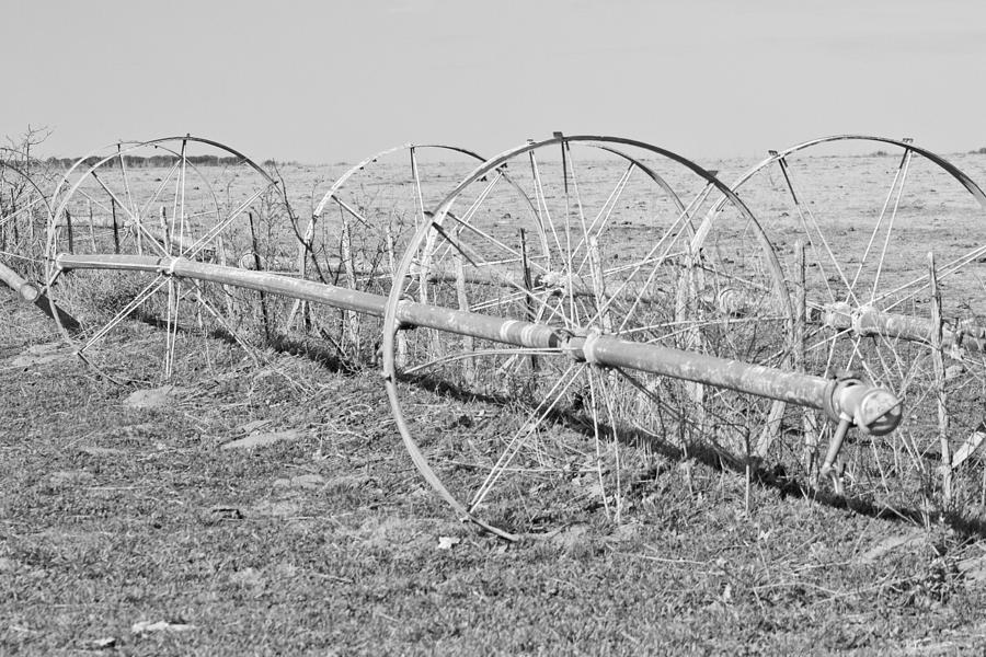 Idle Worker Photograph by Denell McClure - Fine Art America