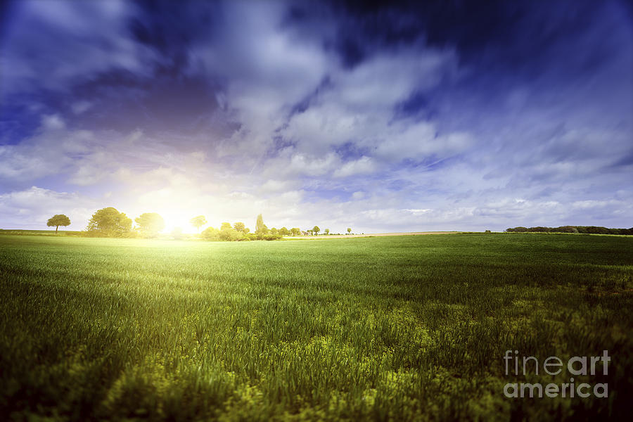 Sunset Photograph - Idyllic Meadow With Sun Over Horizon by Evgeny Kuklev