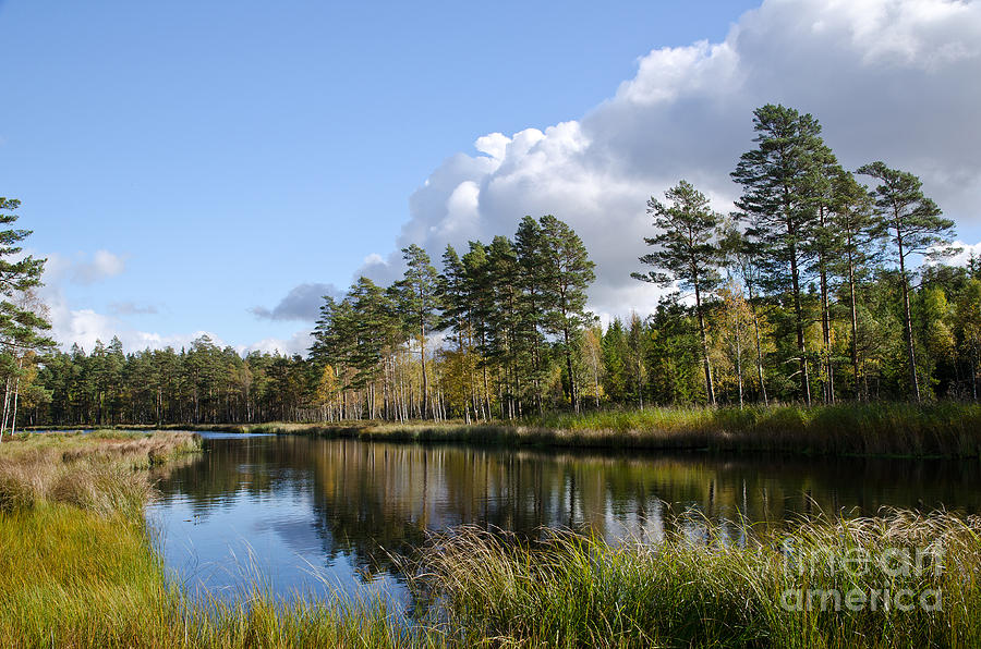 Nature Photograph - Idyllic Pond by Kennerth and Birgitta Kullman