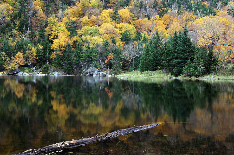Idyllic Vermont Autumn Glory Photograph by Juergen Roth