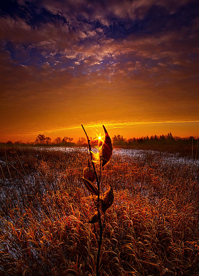 If Heaven Wasnt So Far Away Photograph by Phil Koch
