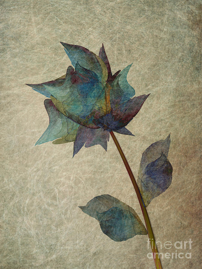 If I would be a Flower Digital Art by Klara Acel