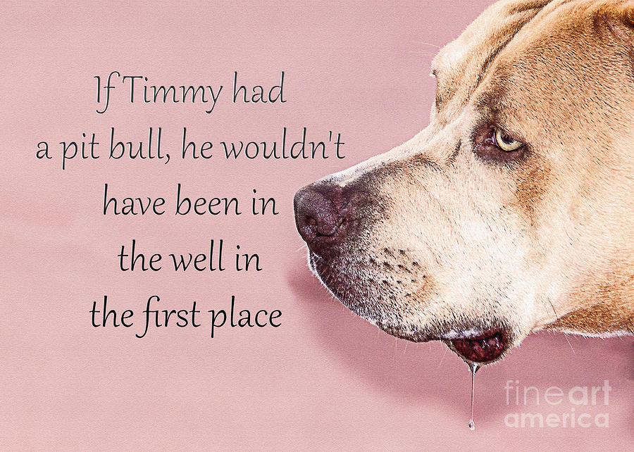 Dog Photograph - If Timmy Had A Pitbull by Janice Pariza