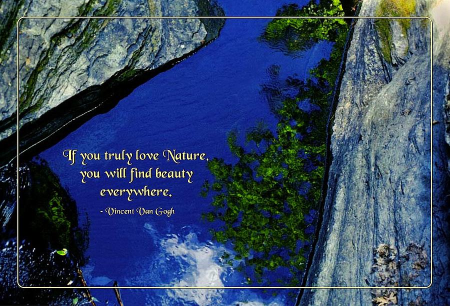 If You Love Nature Photograph by Mike Flynn