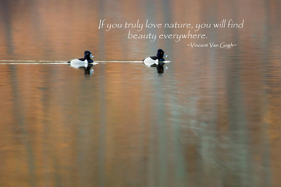 If You Truly Love Nature Photograph by Bill Wakeley