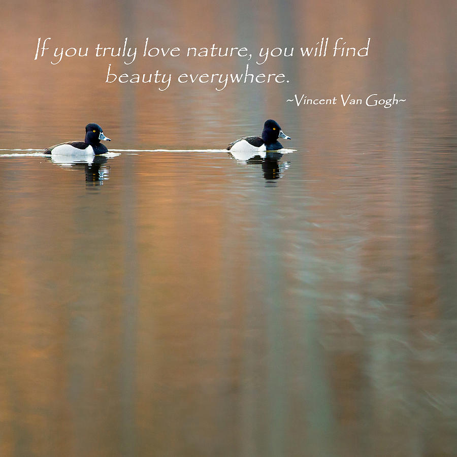 If You Truly Love Nature Square Photograph by Bill Wakeley