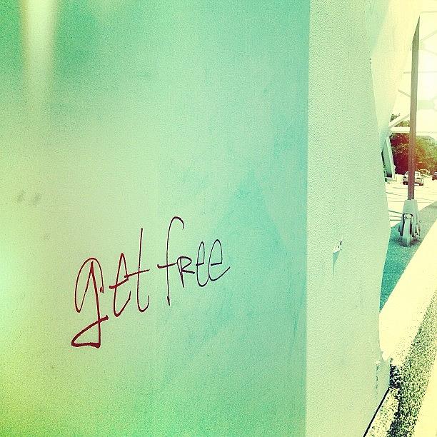 Graffiti Photograph - If Youre Not Free by Lynda Harrison