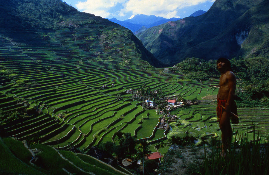 Ifugao rice terraces Philippines Photograph by Blair Seitz