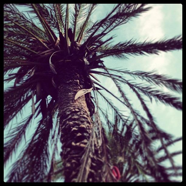 Summer Photograph - #igersmallorca #palma #summer #verano by Palma Pics