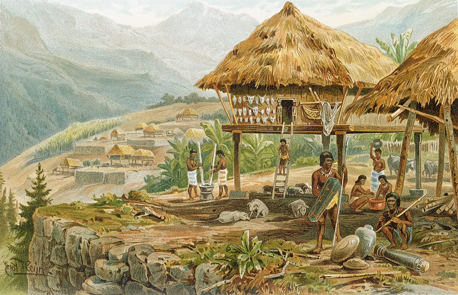 Landscape Painting - Igorrote Farm In Luzon, Philippines, From The History Of Mankind, Vol.1, By Prof. Friedrich Ratzel by Hans Meyer