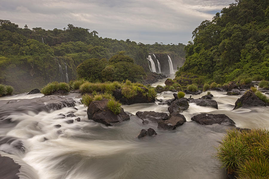 Iguacu Falls Cascades Brazil Photograph by Ingo Arndt